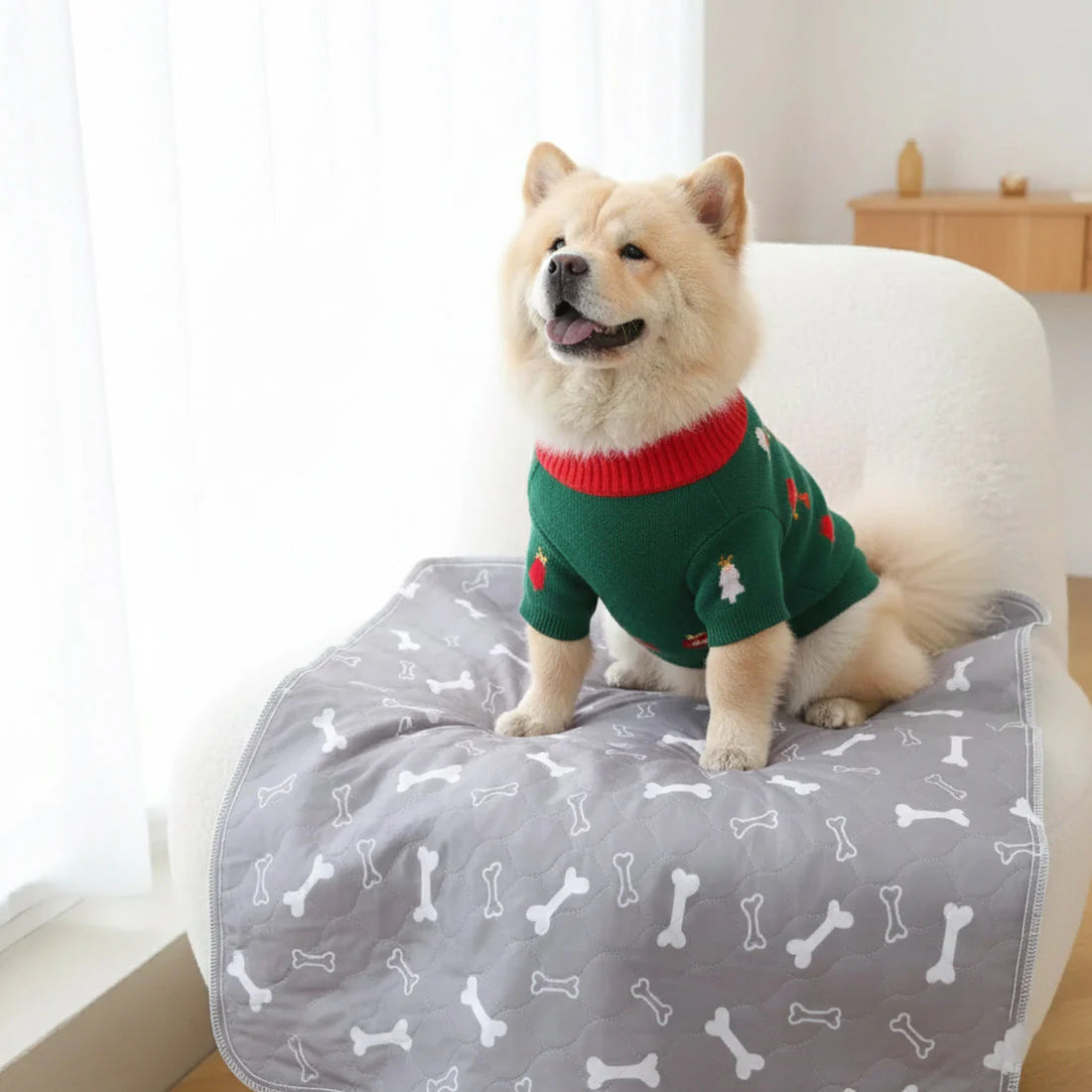 Pawluxe™ Reusable Pup Pad | Clean Floors & Effortless Training