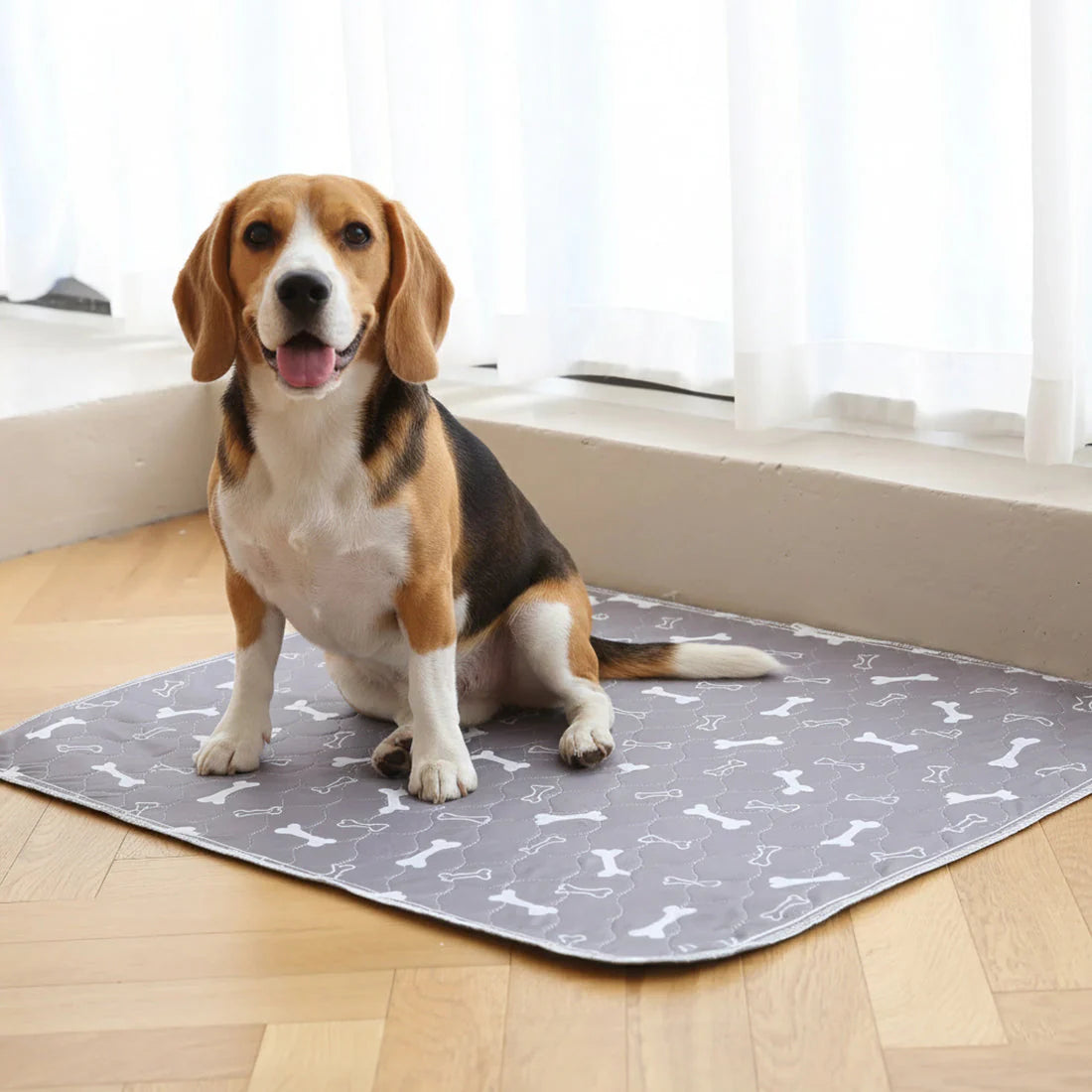 Pawluxe™ Reusable Pup Pad | Clean Floors & Effortless Training