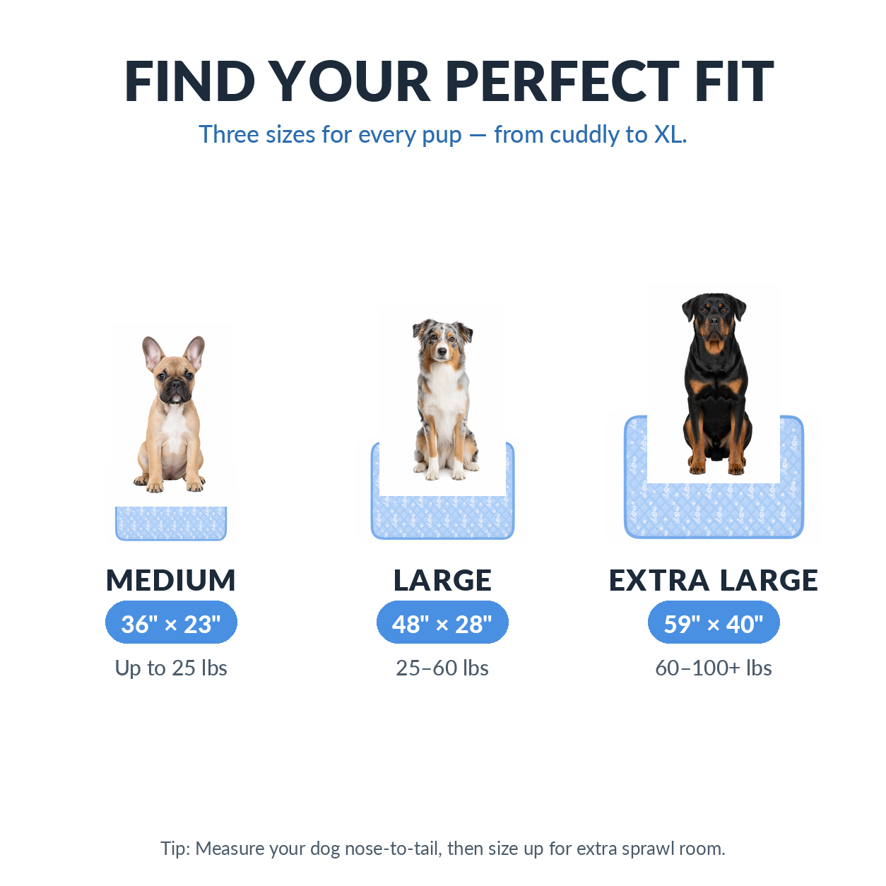 IcePaws™ – Non-Toxic Self-Cooling Dog Bed Mat 2.0