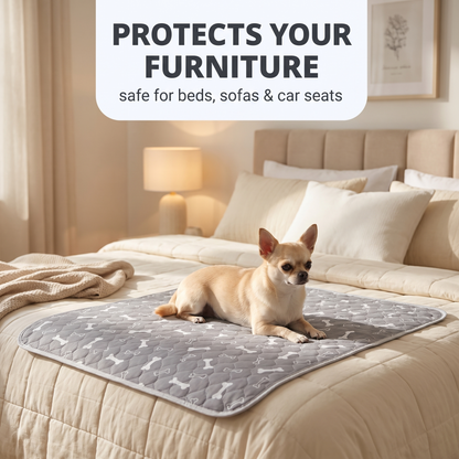 Pawluxe™ Reusable Pup Pad | Clean Floors & Effortless Training