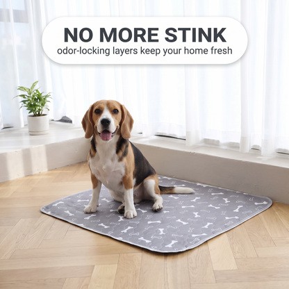 Pawluxe™ Reusable Pup Pad | Clean Floors & Effortless Training