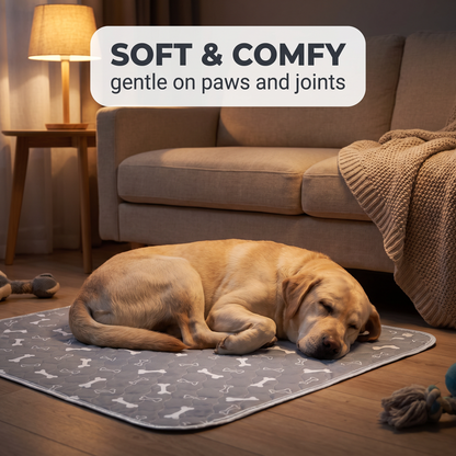 Pawluxe™ Reusable Pup Pad | Clean Floors & Effortless Training